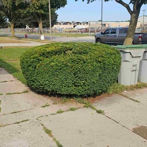 Bush Trimming by Ground Control Lawn Care reviewed on October 18, 2025