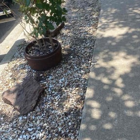 Bush Trimming by KCT Landscaping  reviewed on October 24, 2025