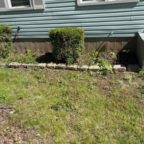 Bush Trimming by SK workshop reviewed on April 26, 2026