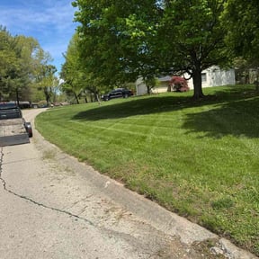 yard service by Boss Outdoor Service reviewed on August 18, 2025