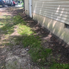 Leaf Removal by Terry Collins reviewed on September 14, 2025