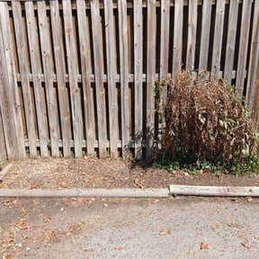 Flower Bed Weeding by Pro City Wash reviewed on October 21, 2025