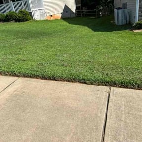 yard service by In Between The Lines LLC reviewed on December 12, 2025