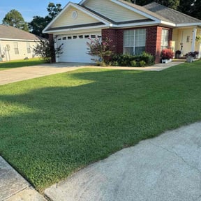 grass maintenance by Hopper Cuts reviewed on May 14, 2024
