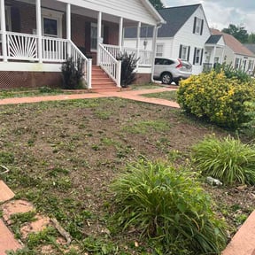 Flower Bed Weeding by Precision Lawncare reviewed on July 12, 2026