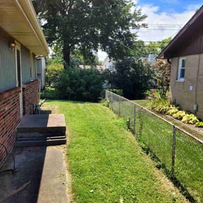 Bush Trimming by GoldenCut lawn care reviewed on October 24, 2025