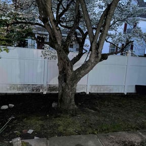 Leaf Removal by Kingdom Hands Lawn Care Services reviewed on August 17, 2025
