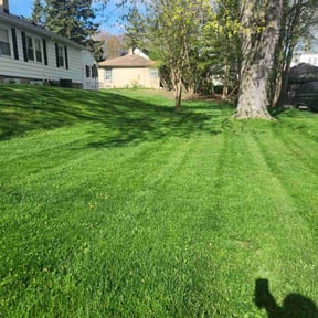 landscaping by Kowtown Services reviewed on August 21, 2025