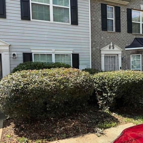 Bush Trimming by On the Surface Lawn Services and Hardscapes reviewed on October 22, 2025