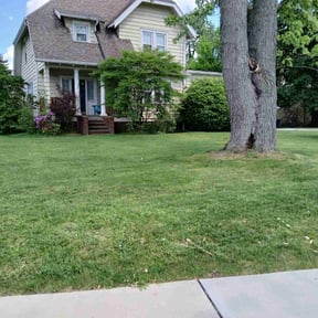 yard service by Burning River Lawn and Landscape LLC reviewed on August 15, 2025