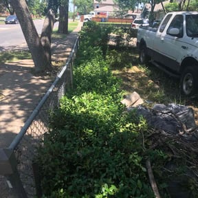 Bush Trimming by Totally Outdoors reviewed on August 19, 2025