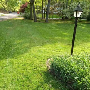 yard work by Clear landscapes llc reviewed on August 15, 2025