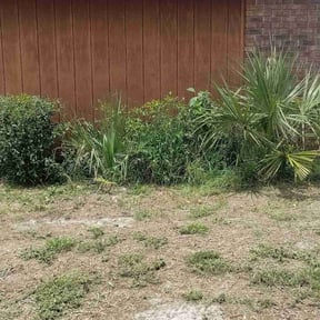 Bush Trimming by IMPAKT Lawn Solutions reviewed on August 18, 2025