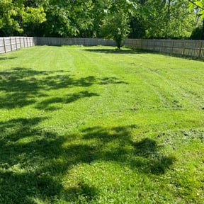 grass cutting by Cox and son lawn care reviewed on August 27, 2023