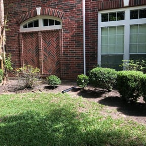Bush Trimming by Sunshine Landscape & Irrigation inc. reviewed on August 20, 2025