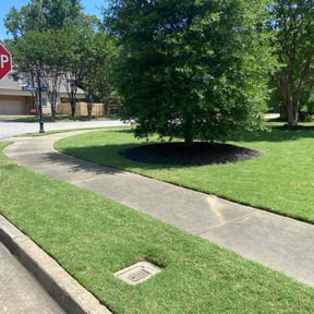 residential landscaping by Top Turf L.L.C reviewed on August 19, 2025
