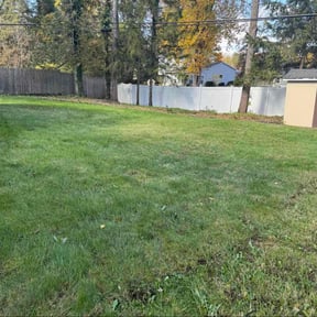 Leaf Removal by LOYALTI Adventures  reviewed on October 23, 2025