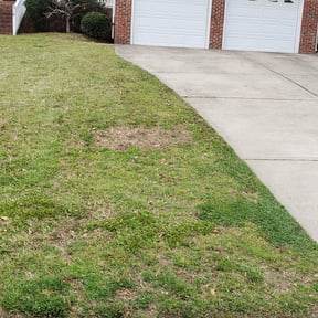 Leaf Removal by Vanlandingham Lawn Care & Services reviewed on August 17, 2025