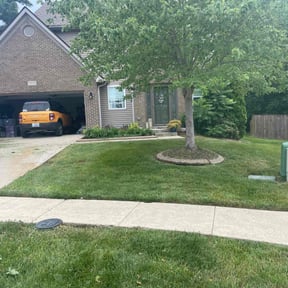 gardening service by Lieutenant Lawn Maintenance reviewed on August 19, 2025