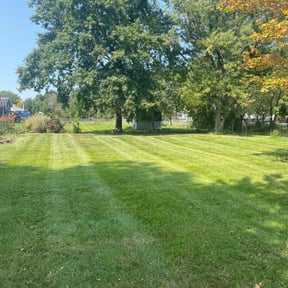 yard work by Matt Mows reviewed on August 20, 2025