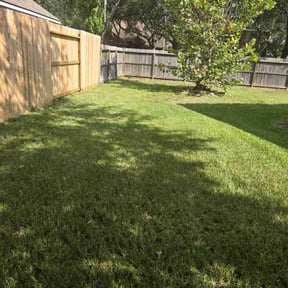 residential landscaping by Mow N Go reviewed on August 17, 2025