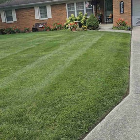 lawn maintenance by Azuloutdoorservices@gmail.com reviewed on May 15, 2024