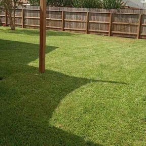 Cleanups by J&C Services LLC - Landscaping reviewed on August 18, 2025
