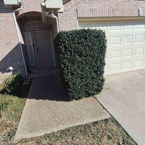 Bush Trimming by Mobile Lawns reviewed on February 5, 2026