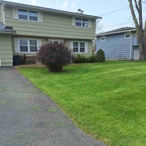 landscaping services by Mr Lawn Service reviewed on August 18, 2025