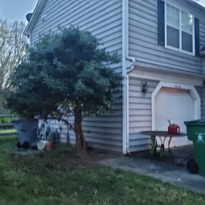 Bush Trimming by The Green Guy Lawn Care LLC reviewed on January 9, 2023