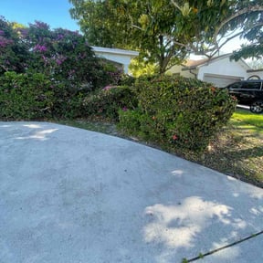 Bush Trimming by Uno Drywall and Painting Services ,LLC dba Franklin McCarter reviewed on August 16, 2025