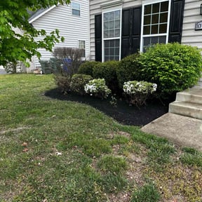 Mulching by County Line Services reviewed on August 17, 2025