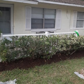 Bush Trimming by Bean Sprout Lawn Service LLC reviewed on August 17, 2025