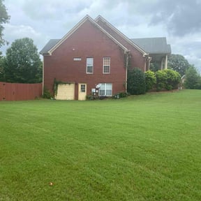 residential landscaping by 3B Landscaping. reviewed on May 20, 2025