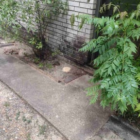 Leaf Removal by Dave&#039;s Professional Lawn Service reviewed on September 17, 2025