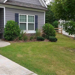 Bush Trimming by Does It All Contracting LLC reviewed on August 20, 2025