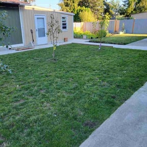 turf care by RyBo inc reviewed on August 20, 2023