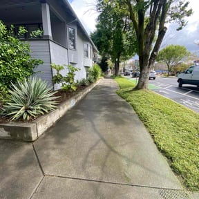 yard care by My California Handyman and Landscaping reviewed on August 20, 2025