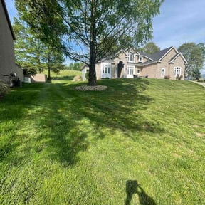 yard work by Brothers Landscaping SP reviewed on August 18, 2025