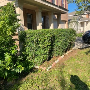 Bush Trimming by RTH Lawn Service & Landscaping LLC reviewed on August 16, 2025