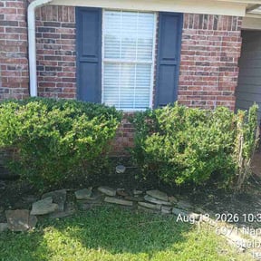 Bush Trimming by cuttinggrasswithchrissy reviewed on August 20, 2026