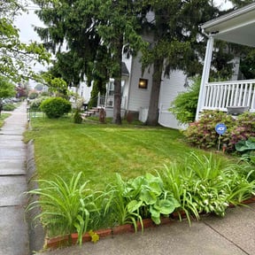 yard maintenance by J&son reviewed on August 18, 2025