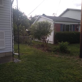 Bush Trimming by Walsh Landscape - Irrigation reviewed on August 17, 2025