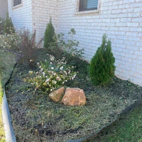 Flower Bed Weeding by Fitz lawn maintenance reviewed on October 22, 2025