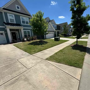 turf maintenance by Landmark Lawns reviewed on June 25, 2025