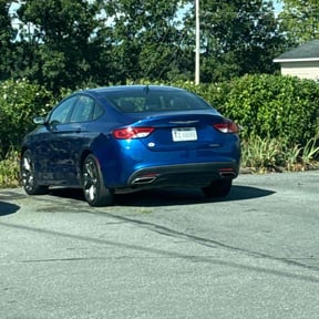 Bush Trimming by Negotiable Helping Hands Landscaping reviewed on December 9, 2025