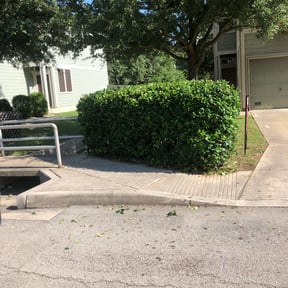 Bush Trimming by It Grow We Mow Lawncare LLC reviewed on August 18, 2025