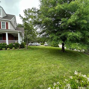 yard work by Mozelle Lawncare reviewed on August 20, 2025