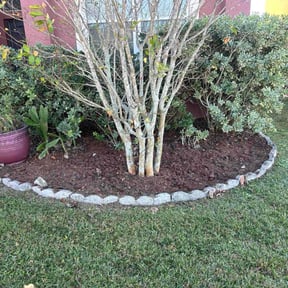 Flower Bed Weeding by Bruce Lawson reviewed on March 24, 2026