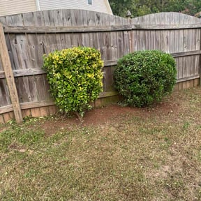 Bush Trimming by Bitcoin Lawn reviewed on August 20, 2025
